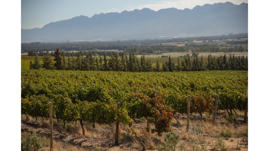 Commercial Property for Sale in Wolseley Western Cape